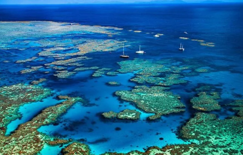世界遗产委员会考虑把澳大利亚大堡礁列为濒危世界遗产