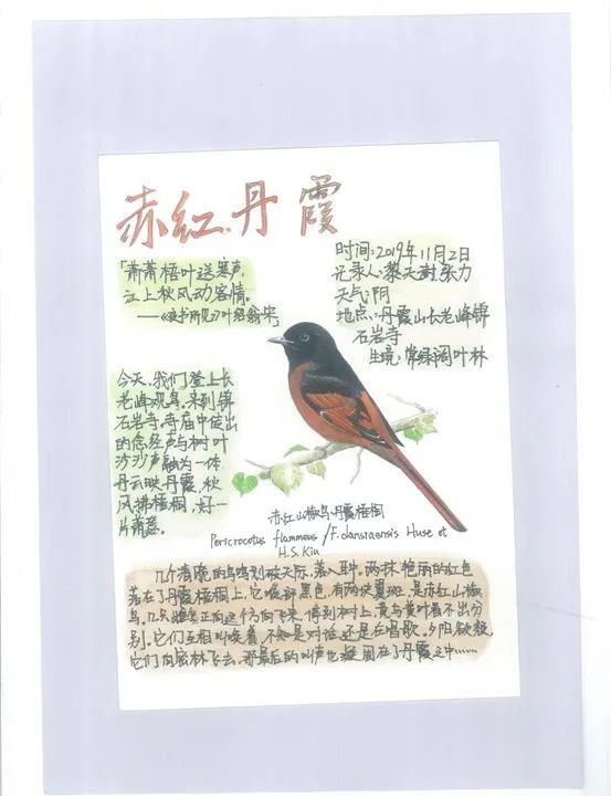 大赛作品.jpg
