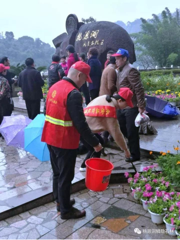 志愿者.png