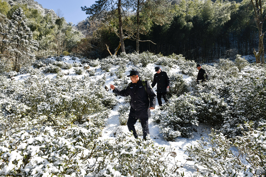 雪后巡山.png
