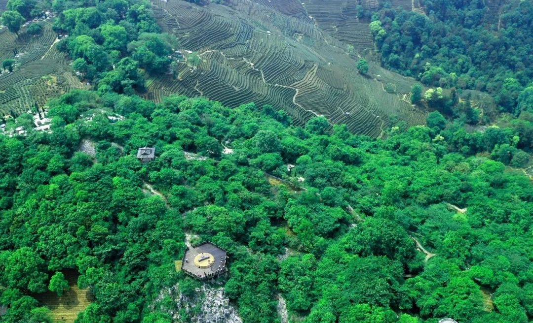 龙井馆区.jpg