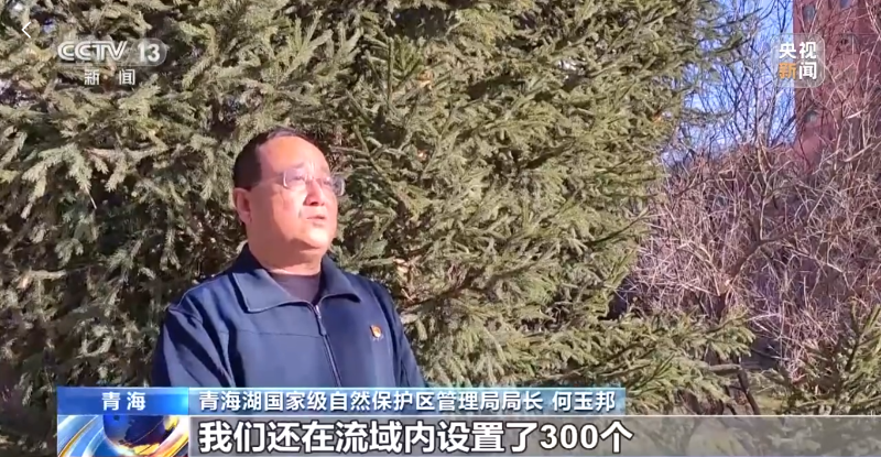 青海湖1.png
