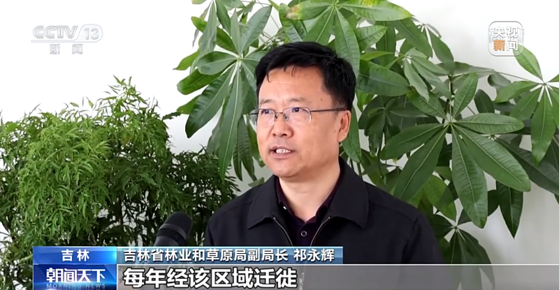吉林1.png