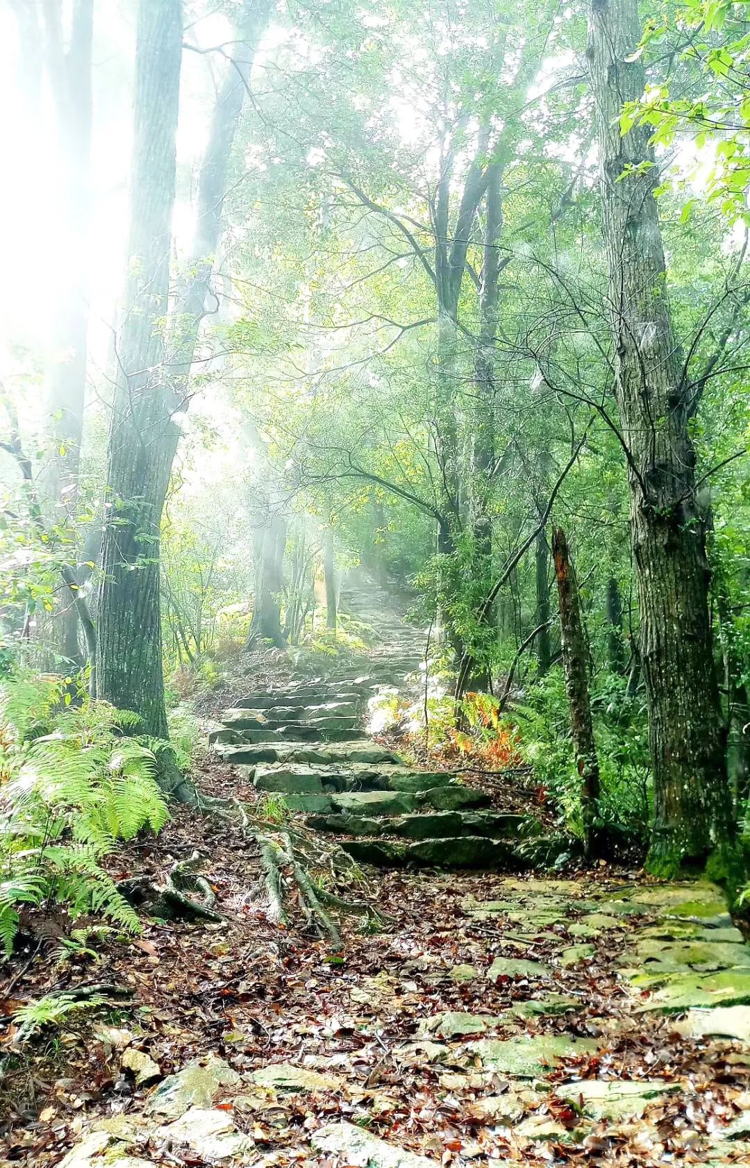 钱江源步道.jpg