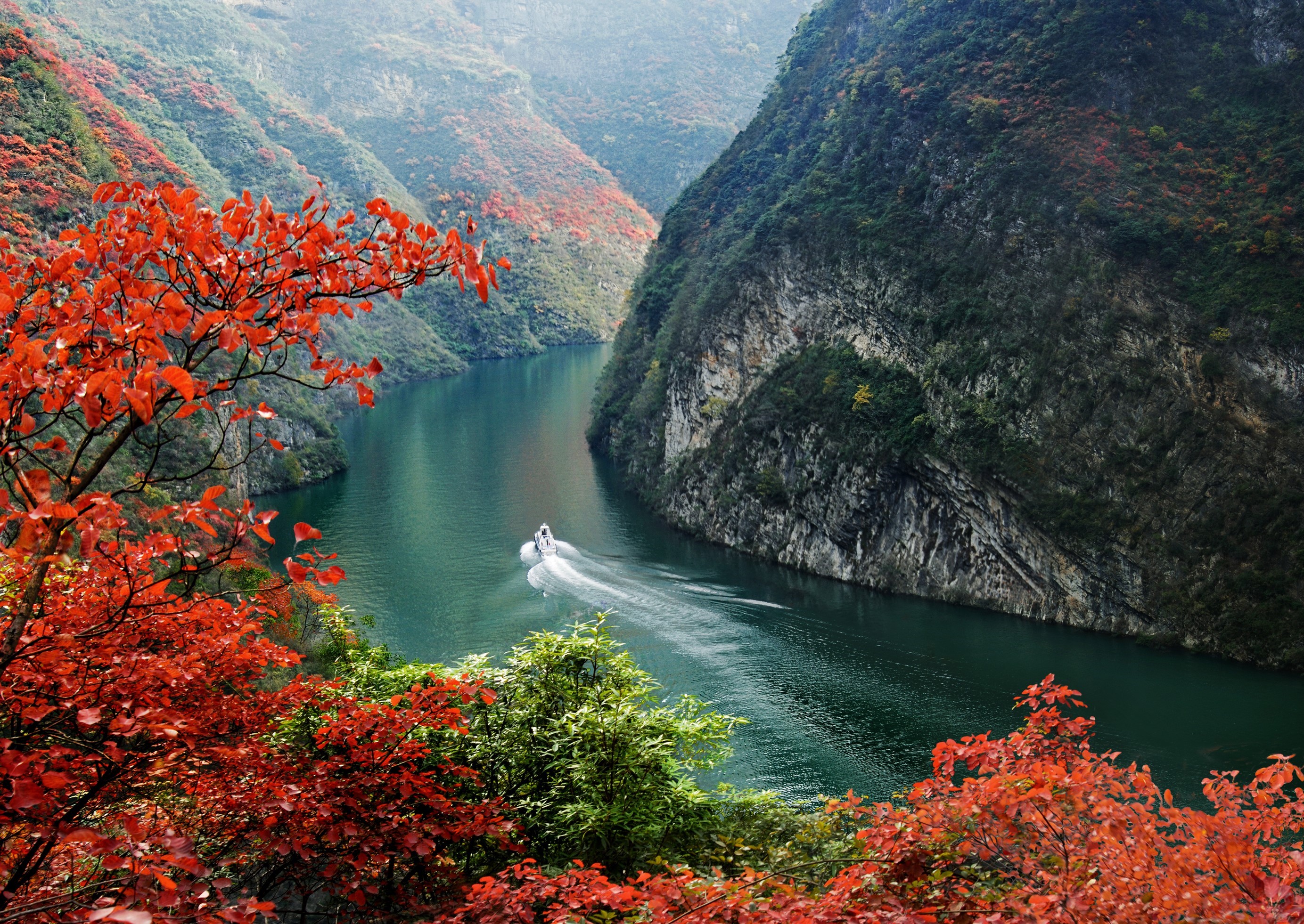 长江三峡-巫山-金秋红叶映三峡.jpg