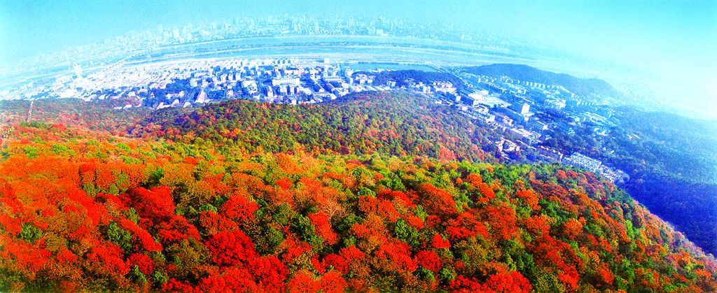 万山红遍_副本.jpg